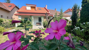 Kovács Guesthouse - Budapest